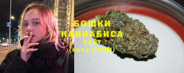 хмурый Абаза