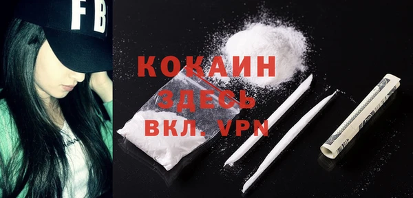 хмурый Абаза